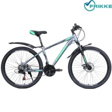 Велосипед 29 Evolution 2021 17 сірий