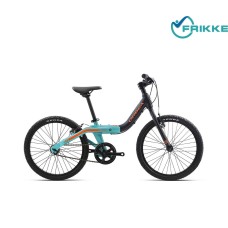 20 Велосипед Orbea GROW 2 1V 2019 черно-голубо-зеленый